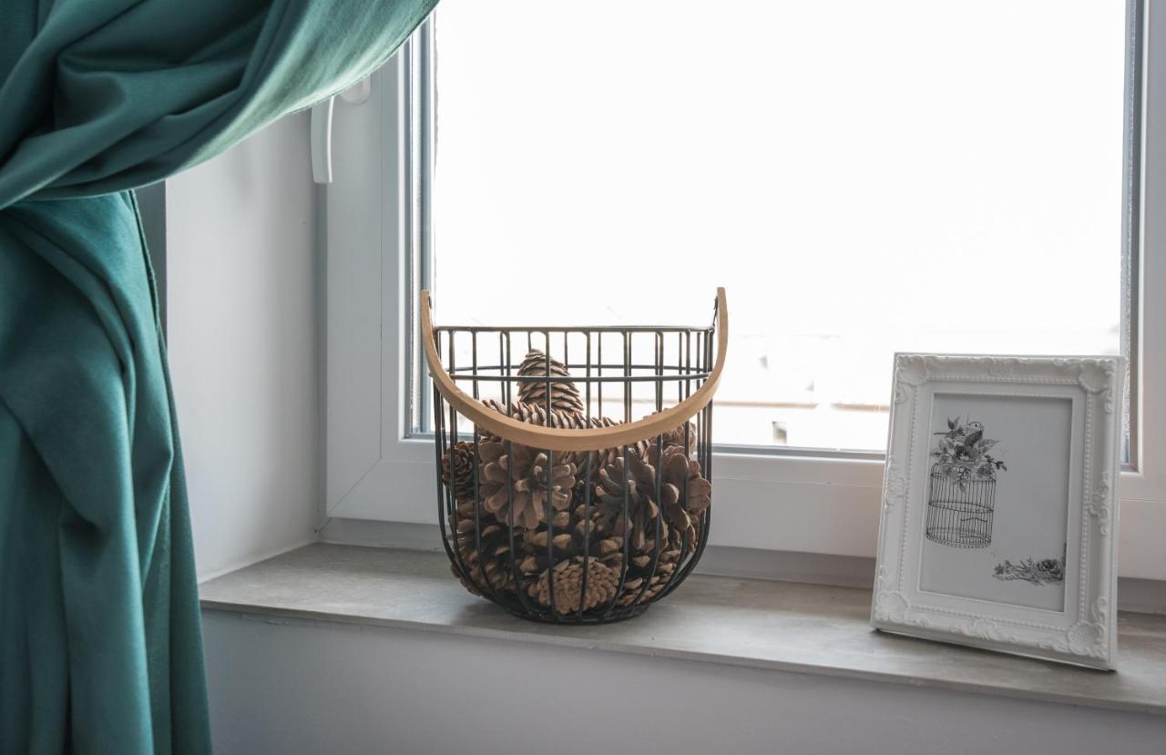 Apartament Mikolowska 格利维采 外观 照片